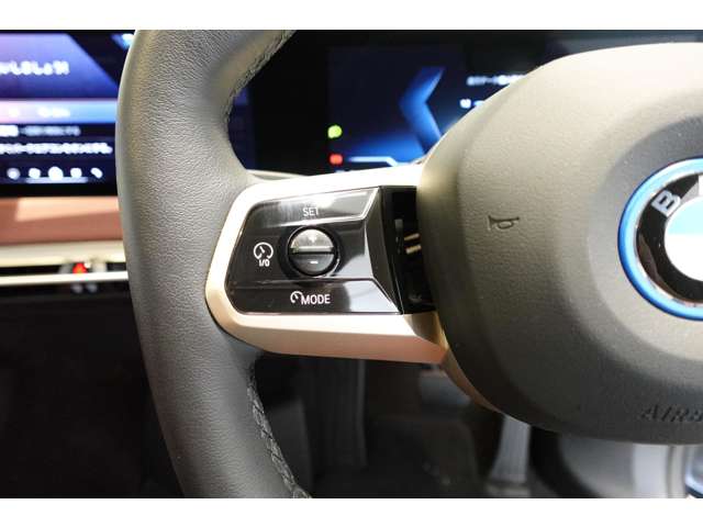 ＢＭＷ ｉＸ Ｘドライブ５０ ４ＷＤ R5年 (近畿) 99