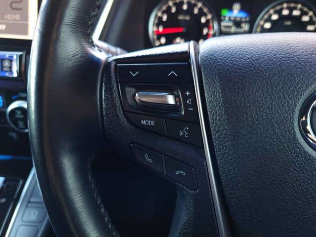 トヨタ アルファード ２．５ Ｓ Ａパッケージ タイプ ブラック H29年 (関東) 99