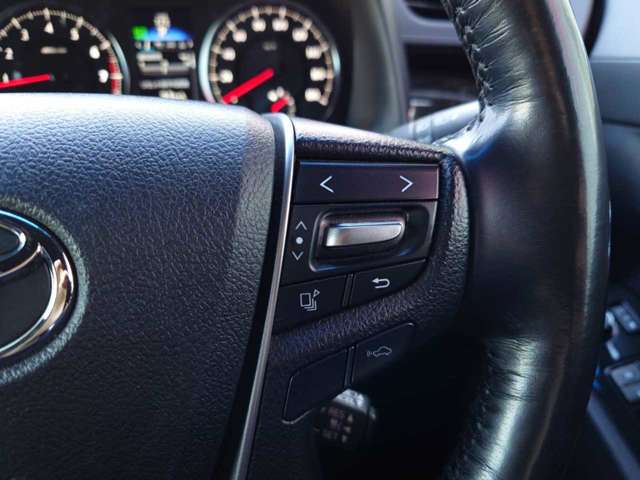 トヨタ アルファード ２．５ Ｓ Ａパッケージ タイプ ブラック H29年 (関東) 99