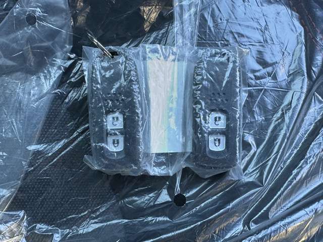 ホンダ Ｎ−ＯＮＥ ６６０ ＲＳ R6年 (東海) 99