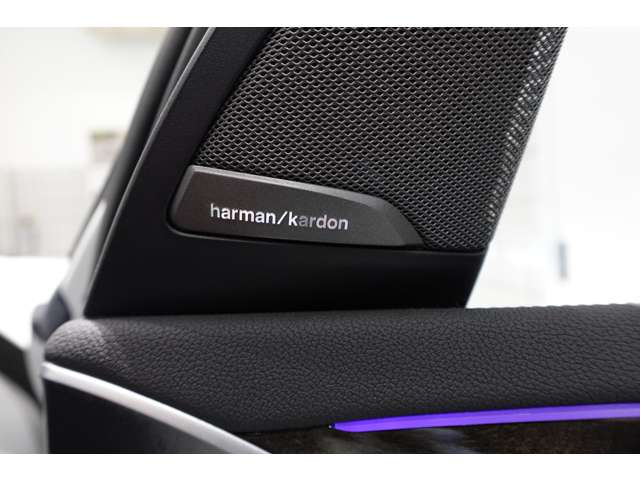 ＢＭＷ Ｘ３ Ｍ４０Ｄ ディーゼルターボ ４ＷＤ R2年 (近畿) 99