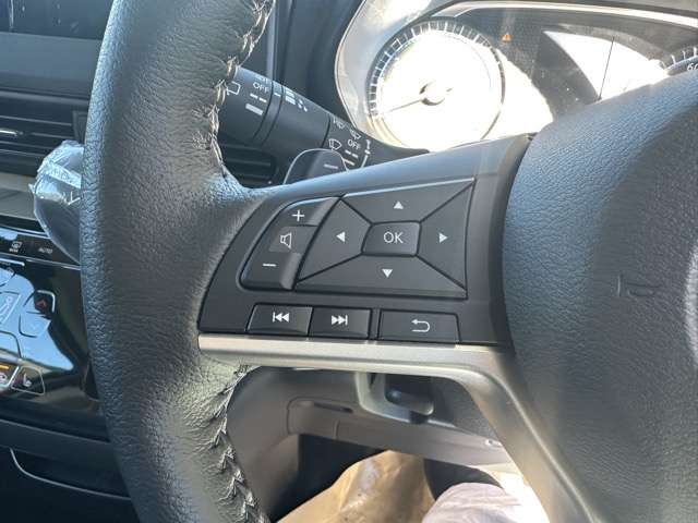 三菱 デリカ　ミニ ６６０ Ｔ プレミアム R6年 (東海) 99