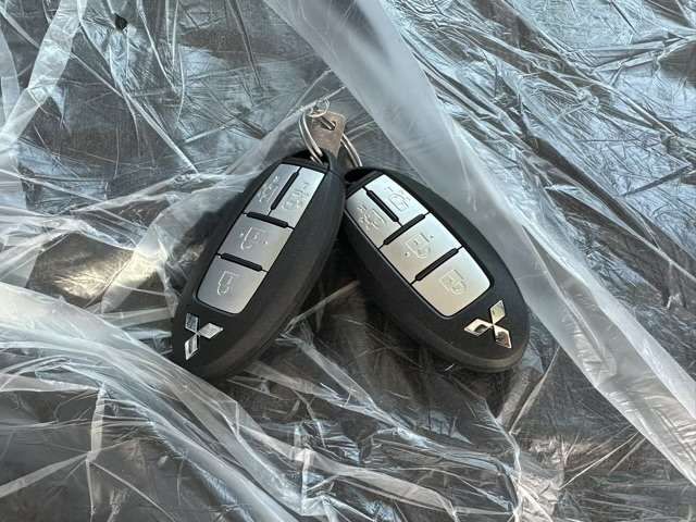 三菱 デリカ　ミニ ６６０ Ｇ プレミアム R6年 (東海) 99