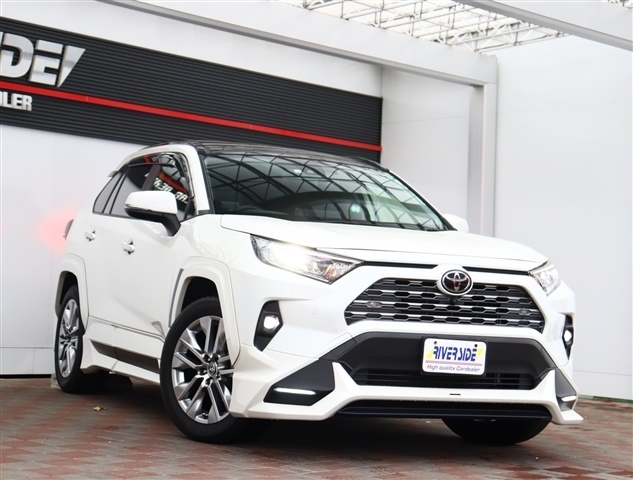 トヨタ ＲＡＶ４ ２．０ Ｇ Ｚパッケージ ４ＷＤ R4年 (関東) 99