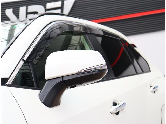 トヨタ ＲＡＶ４ ２．０ Ｇ Ｚパッケージ ４ＷＤ R4年 (関東) 99