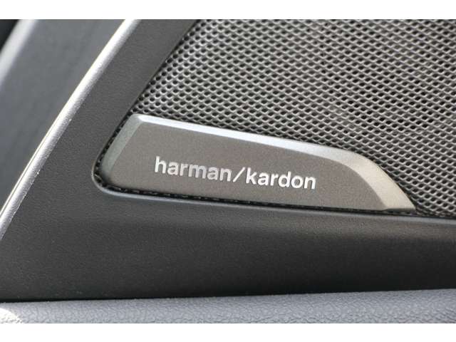 ＢＭＷ Ｘ３ Ｘドライブ２０Ｄ Ｍスポーツ ディーゼルターボ ４ＷＤ R1年 (関東) 99