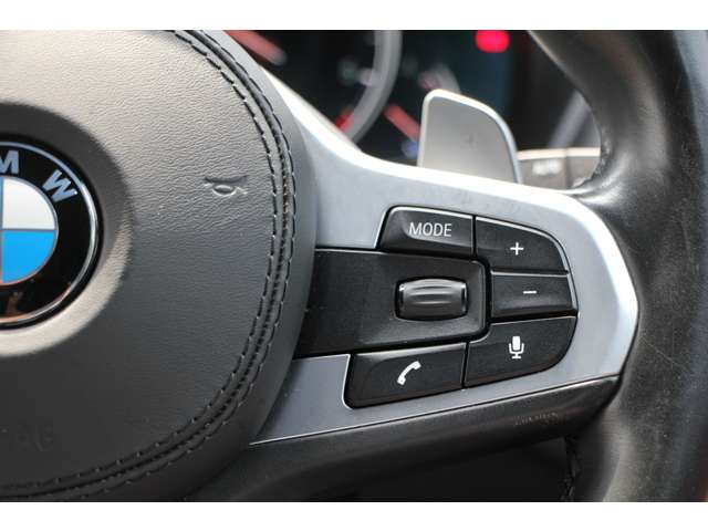 ＢＭＷ Ｘ３ Ｘドライブ２０Ｄ Ｍスポーツ ディーゼルターボ ４ＷＤ R1年 (関東) 99