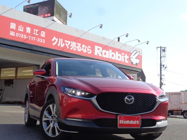 マツダ ＣＸ−３０ ２．０ ２０Ｓ プロアクティブ ツーリングセレクション R2年 (中国) 99