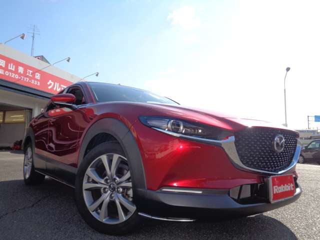 マツダ ＣＸ−３０ ２．０ ２０Ｓ プロアクティブ ツーリングセレクション R2年 (中国) 99