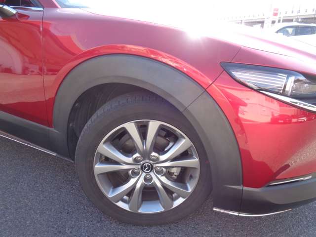 マツダ ＣＸ−３０ ２．０ ２０Ｓ プロアクティブ ツーリングセレクション R2年 (中国) 99