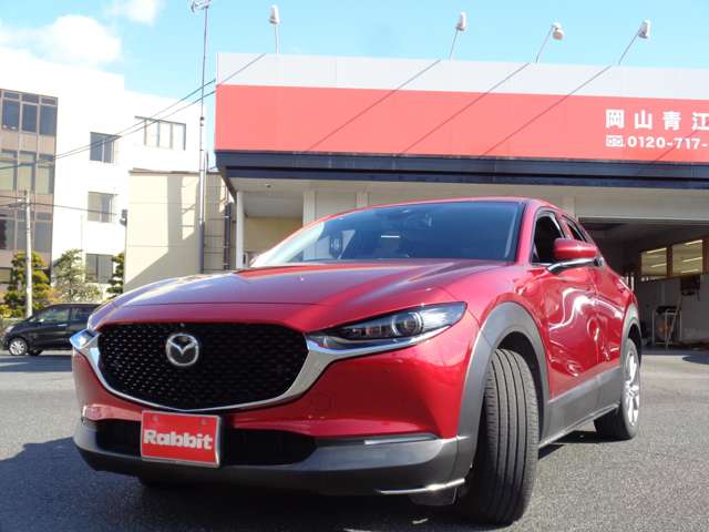 マツダ ＣＸ−３０ ２．０ ２０Ｓ プロアクティブ ツーリングセレクション R2年 (中国) 99