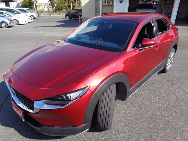 マツダ ＣＸ−３０ ２．０ ２０Ｓ プロアクティブ ツーリングセレクション R2年 (中国) 99