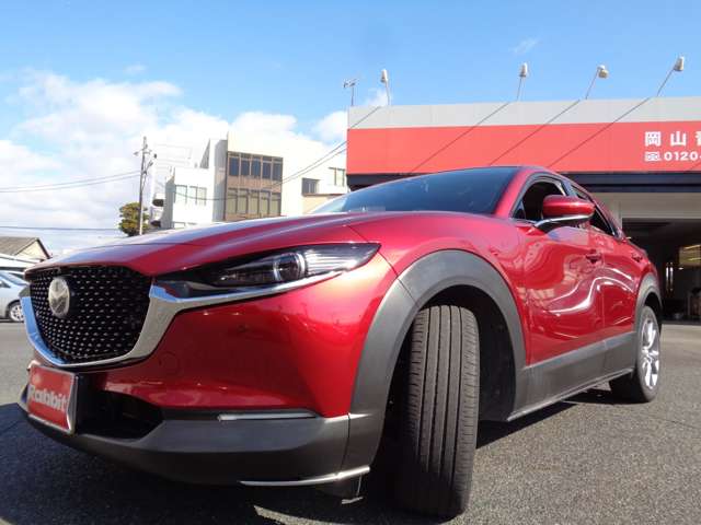 マツダ ＣＸ−３０ ２．０ ２０Ｓ プロアクティブ ツーリングセレクション R2年 (中国) 99