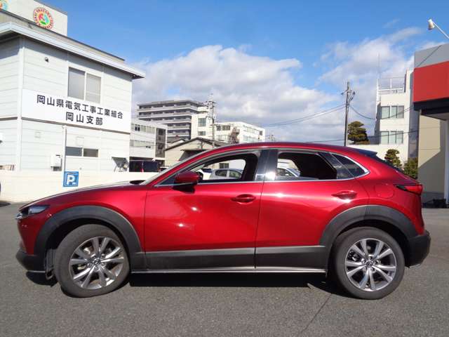 マツダ ＣＸ−３０ ２．０ ２０Ｓ プロアクティブ ツーリングセレクション R2年 (中国) 99