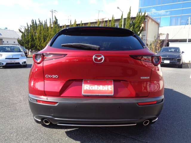 マツダ ＣＸ−３０ ２．０ ２０Ｓ プロアクティブ ツーリングセレクション R2年 (中国) 99