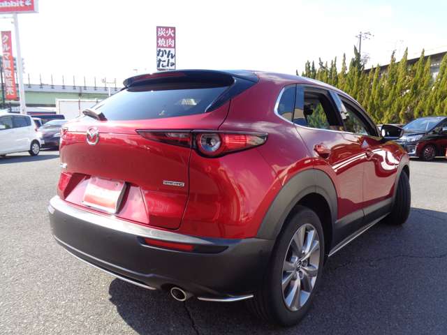 マツダ ＣＸ−３０ ２．０ ２０Ｓ プロアクティブ ツーリングセレクション R2年 (中国) 99