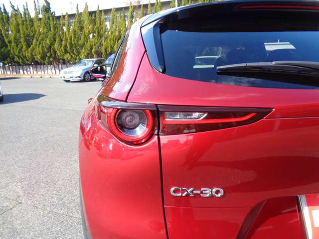 マツダ ＣＸ−３０ ２．０ ２０Ｓ プロアクティブ ツーリングセレクション R2年 (中国) 99