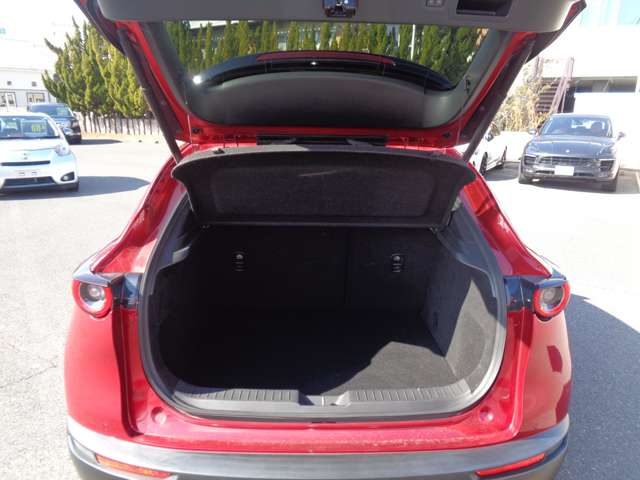 マツダ ＣＸ−３０ ２．０ ２０Ｓ プロアクティブ ツーリングセレクション R2年 (中国) 99