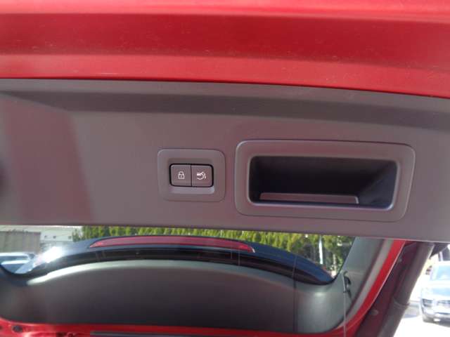 マツダ ＣＸ−３０ ２．０ ２０Ｓ プロアクティブ ツーリングセレクション R2年 (中国) 99