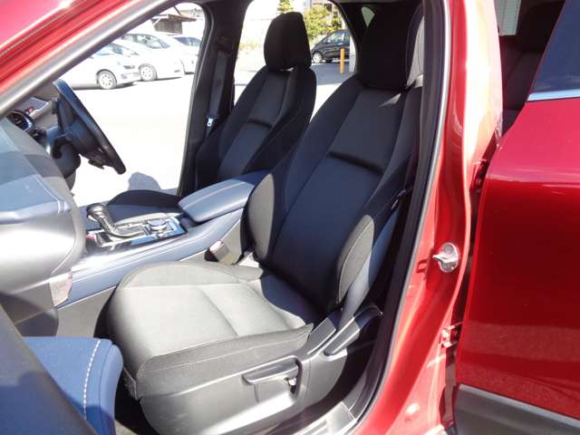 マツダ ＣＸ−３０ ２．０ ２０Ｓ プロアクティブ ツーリングセレクション R2年 (中国) 99