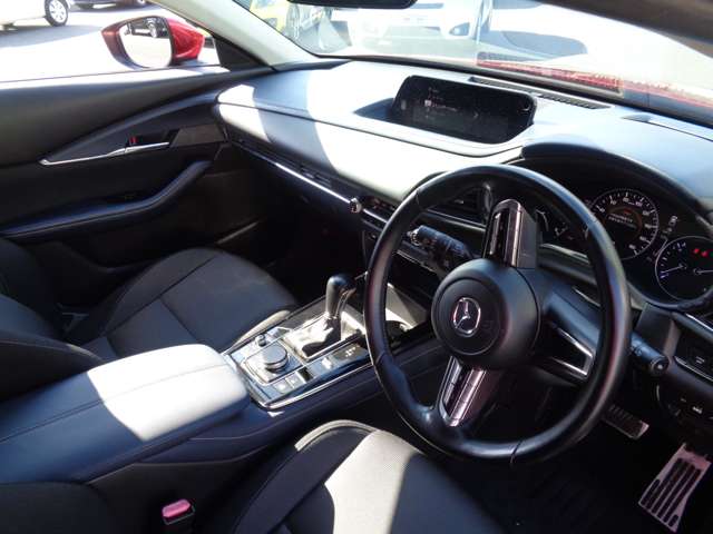 マツダ ＣＸ−３０ ２．０ ２０Ｓ プロアクティブ ツーリングセレクション R2年 (中国) 99