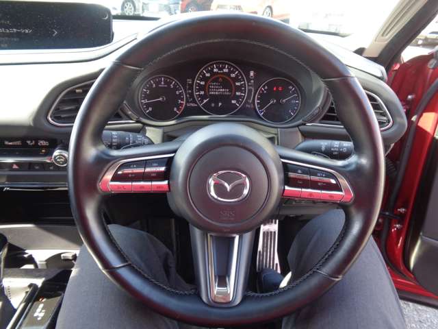 マツダ ＣＸ−３０ ２．０ ２０Ｓ プロアクティブ ツーリングセレクション R2年 (中国) 99