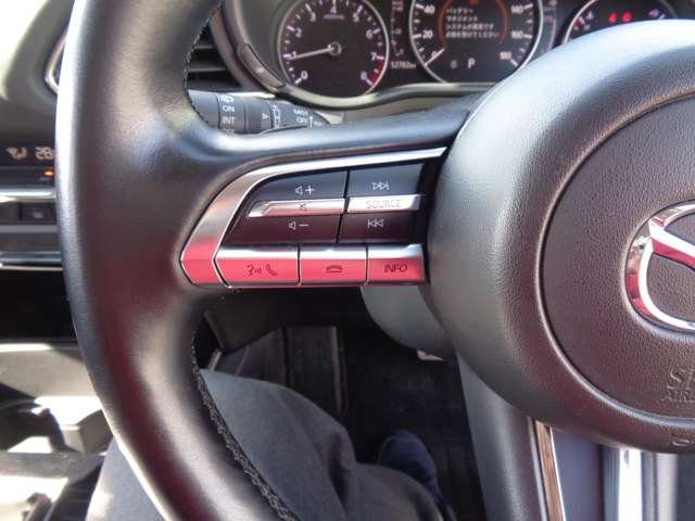 マツダ ＣＸ−３０ ２．０ ２０Ｓ プロアクティブ ツーリングセレクション R2年 (中国) 99