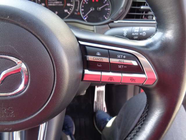 マツダ ＣＸ−３０ ２．０ ２０Ｓ プロアクティブ ツーリングセレクション R2年 (中国) 99