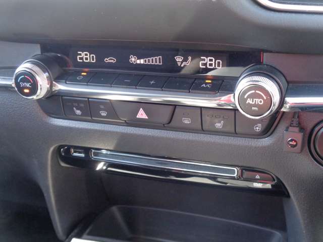 マツダ ＣＸ−３０ ２．０ ２０Ｓ プロアクティブ ツーリングセレクション R2年 (中国) 99