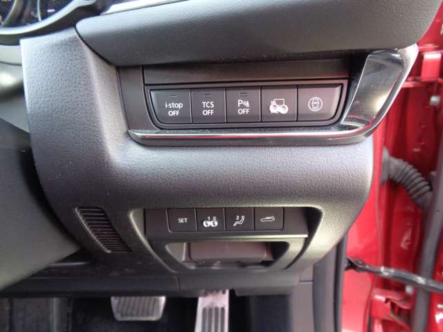 マツダ ＣＸ−３０ ２．０ ２０Ｓ プロアクティブ ツーリングセレクション R2年 (中国) 99