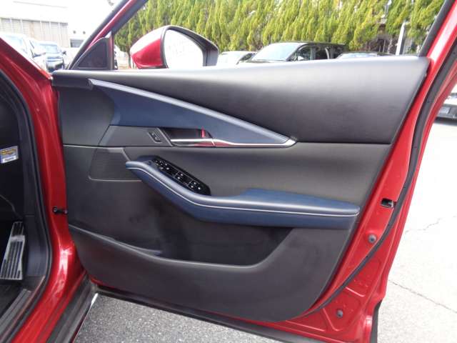 マツダ ＣＸ−３０ ２．０ ２０Ｓ プロアクティブ ツーリングセレクション R2年 (中国) 99