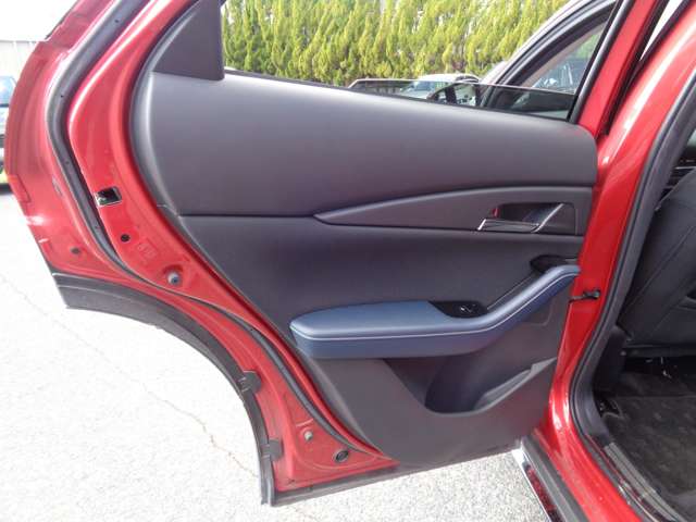 マツダ ＣＸ−３０ ２．０ ２０Ｓ プロアクティブ ツーリングセレクション R2年 (中国) 99