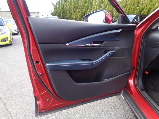 マツダ ＣＸ−３０ ２．０ ２０Ｓ プロアクティブ ツーリングセレクション R2年 (中国) 99