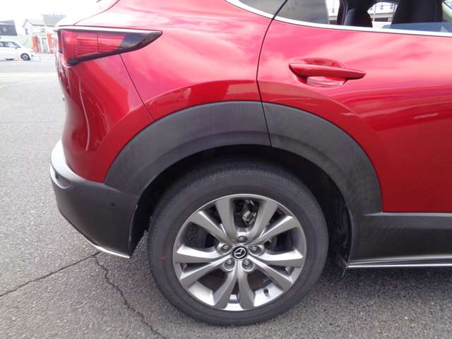 マツダ ＣＸ−３０ ２．０ ２０Ｓ プロアクティブ ツーリングセレクション R2年 (中国) 99
