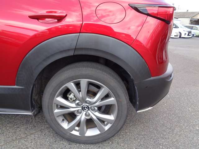 マツダ ＣＸ−３０ ２．０ ２０Ｓ プロアクティブ ツーリングセレクション R2年 (中国) 99