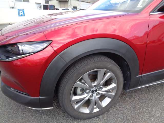 マツダ ＣＸ−３０ ２．０ ２０Ｓ プロアクティブ ツーリングセレクション R2年 (中国) 99