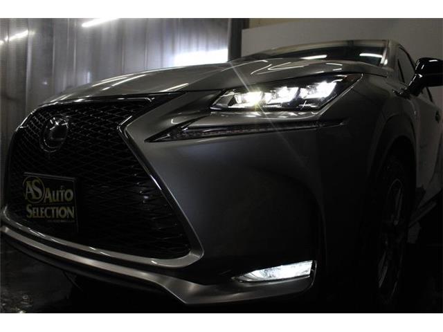 レクサス ＮＸ３００ｈ ３００Ｈ Ｆスポーツ ４ＷＤ H26年 (北海道) 99