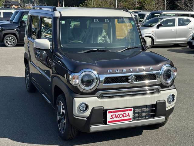 スズキ ハスラー ６６０ ＪスタイルＩＩ R6年 (中国) 99