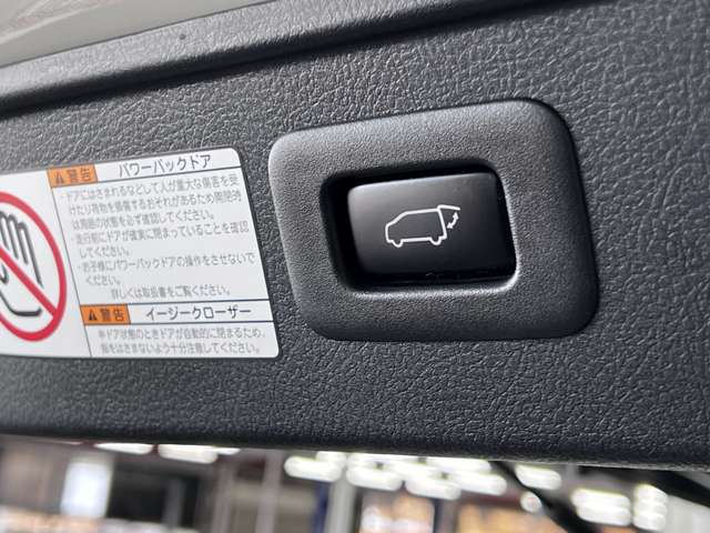 トヨタ ヴェルファイア ２．５ Ｚ Ａエディション ゴールデンアイズ H29年 (関東) 99