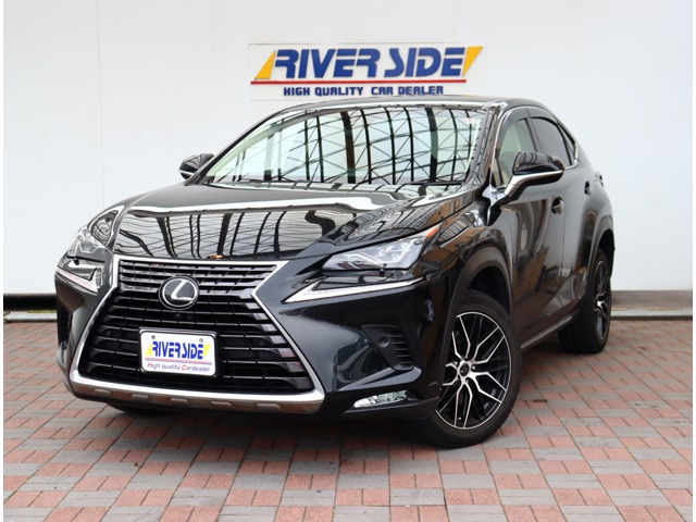 レクサス ＮＸ３００ Ｉパッケージ H30年 (関東) 99