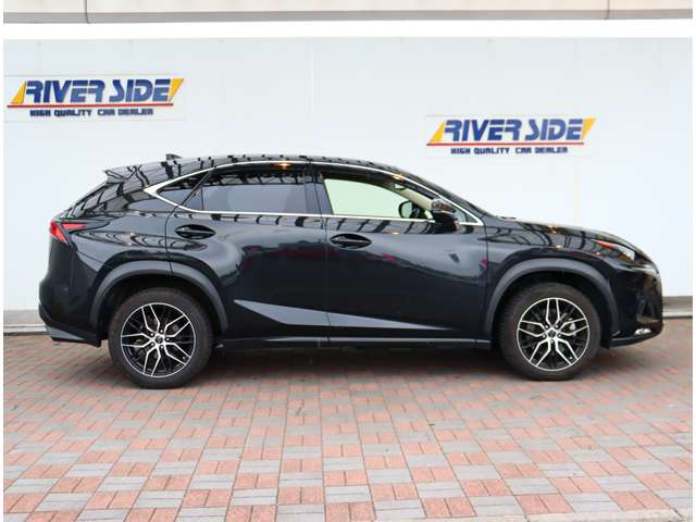 レクサス ＮＸ３００ Ｉパッケージ H30年 (関東) 99