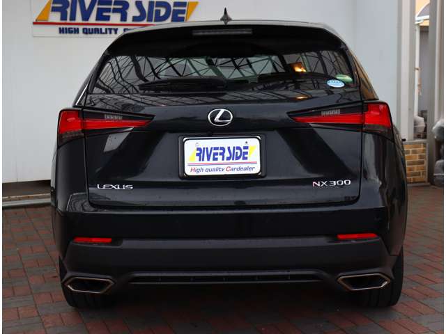 レクサス ＮＸ３００ Ｉパッケージ H30年 (関東) 99