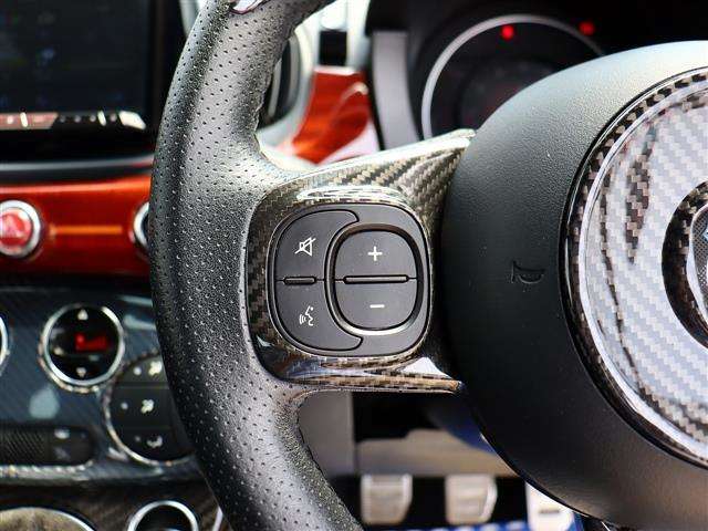 アバルト ５９５ コンペティツィオーネパフォーマンスＰＩＩ H30年 (関東) 99