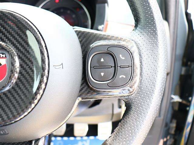 アバルト ５９５ コンペティツィオーネパフォーマンスＰＩＩ H30年 (関東) 99