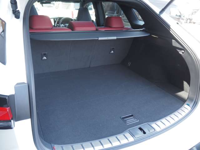 レクサス ＲＸ５００ｈ ５００Ｈ Ｆスポーツ パフォーマンス ４ＷＤ R6年 (近畿) 99