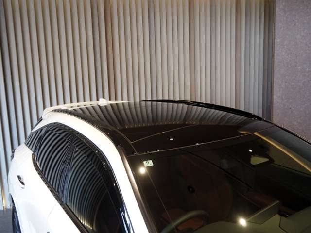 レクサス ＲＸ５００ｈ ５００Ｈ Ｆスポーツ パフォーマンス ４ＷＤ R6年 (近畿) 99