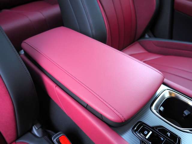 レクサス ＲＸ５００ｈ ５００Ｈ Ｆスポーツ パフォーマンス ４ＷＤ R6年 (近畿) 99