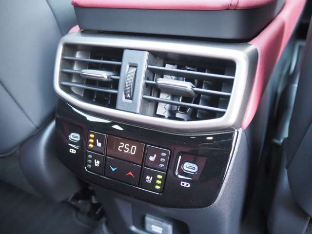 レクサス ＲＸ５００ｈ ５００Ｈ Ｆスポーツ パフォーマンス ４ＷＤ R6年 (近畿) 99