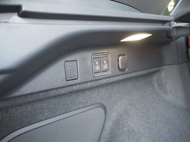 レクサス ＲＸ５００ｈ ５００Ｈ Ｆスポーツ パフォーマンス ４ＷＤ R6年 (近畿) 99