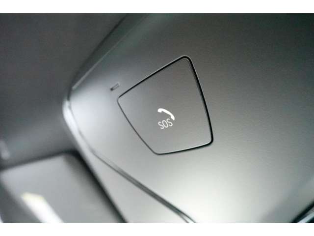 ＢＭＷ ３シリーズ ３１８ｉ　Ｍスポーツ R6年 (近畿) 99